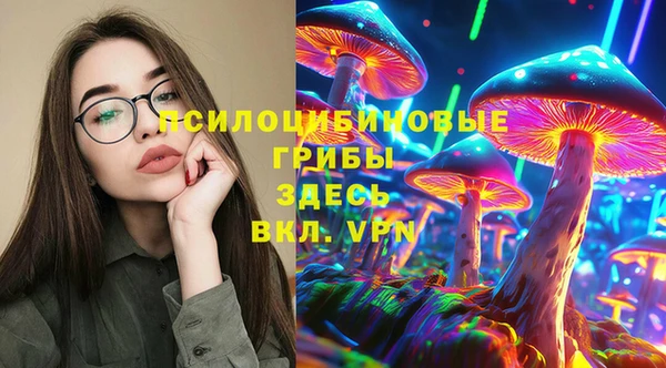 первитин Горнозаводск