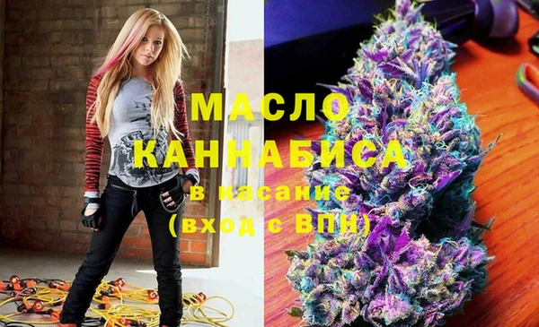гашик Вязьма