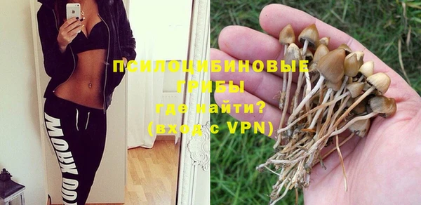 МДПВ Вяземский