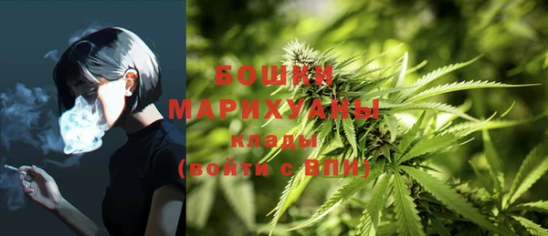бутират Горно-Алтайск